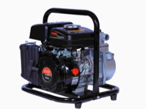 DP25